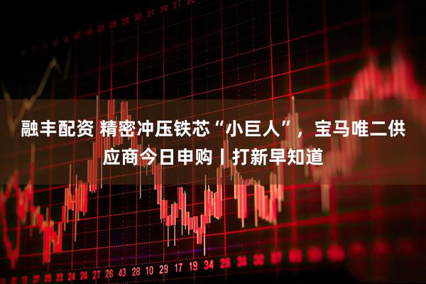 融丰配资 精密冲压铁芯“小巨人”，宝马唯二供应商今日申购丨打新早知道